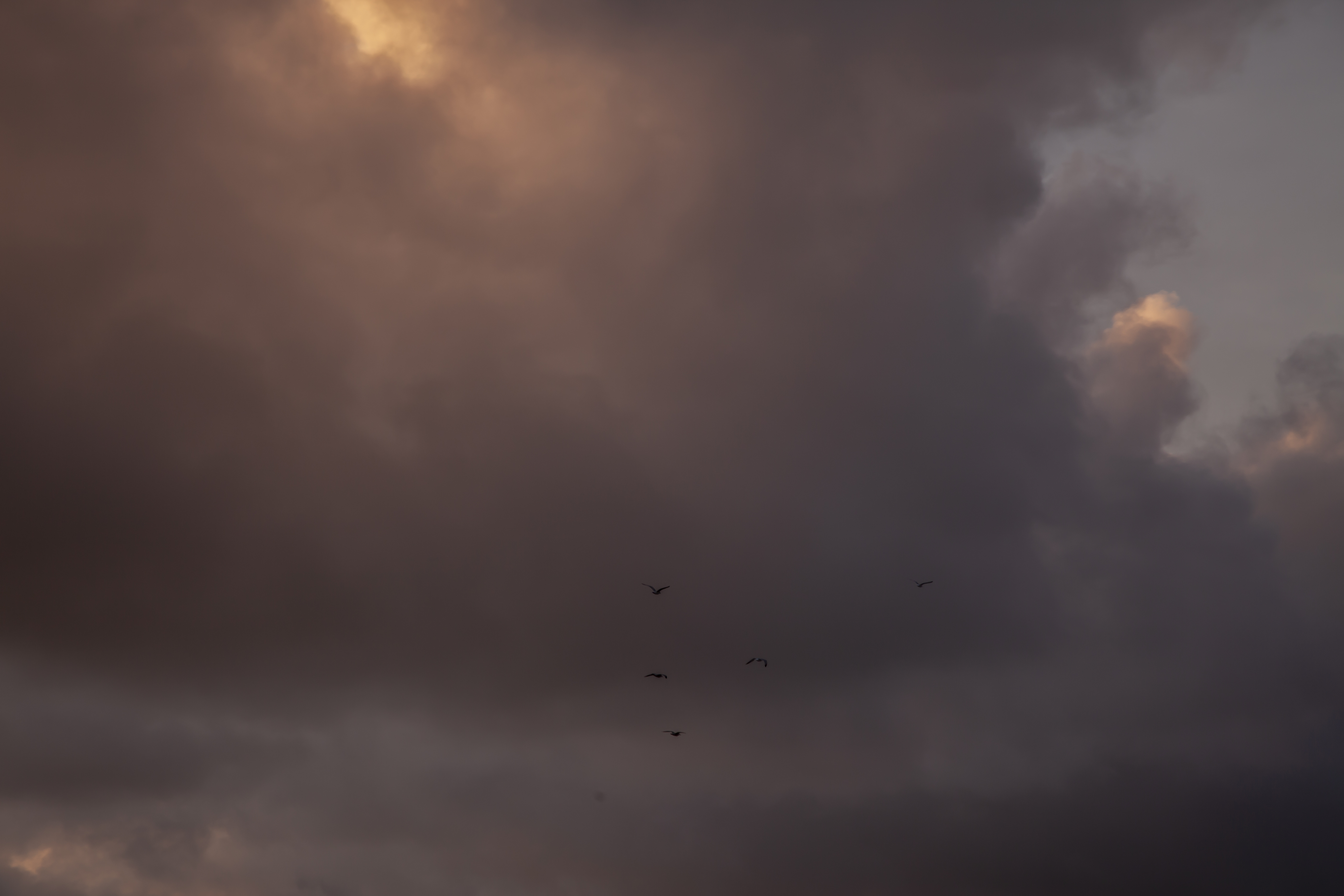 Ciel orageux avec des teintes sombres et orangées, traversé par des oiseaux.