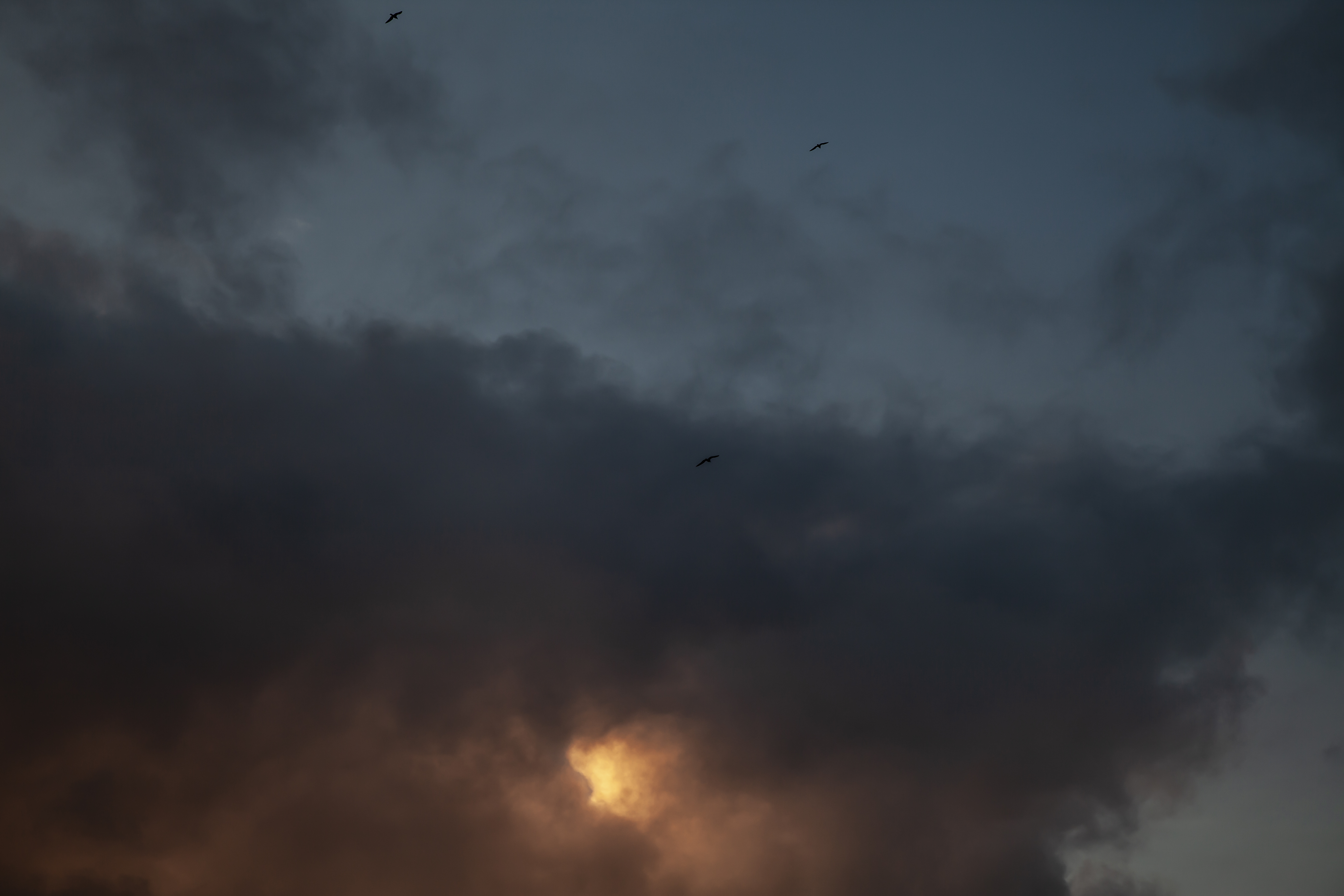 Ciel orageux avec des teintes sombres et orangées, traversé par des oiseaux.
