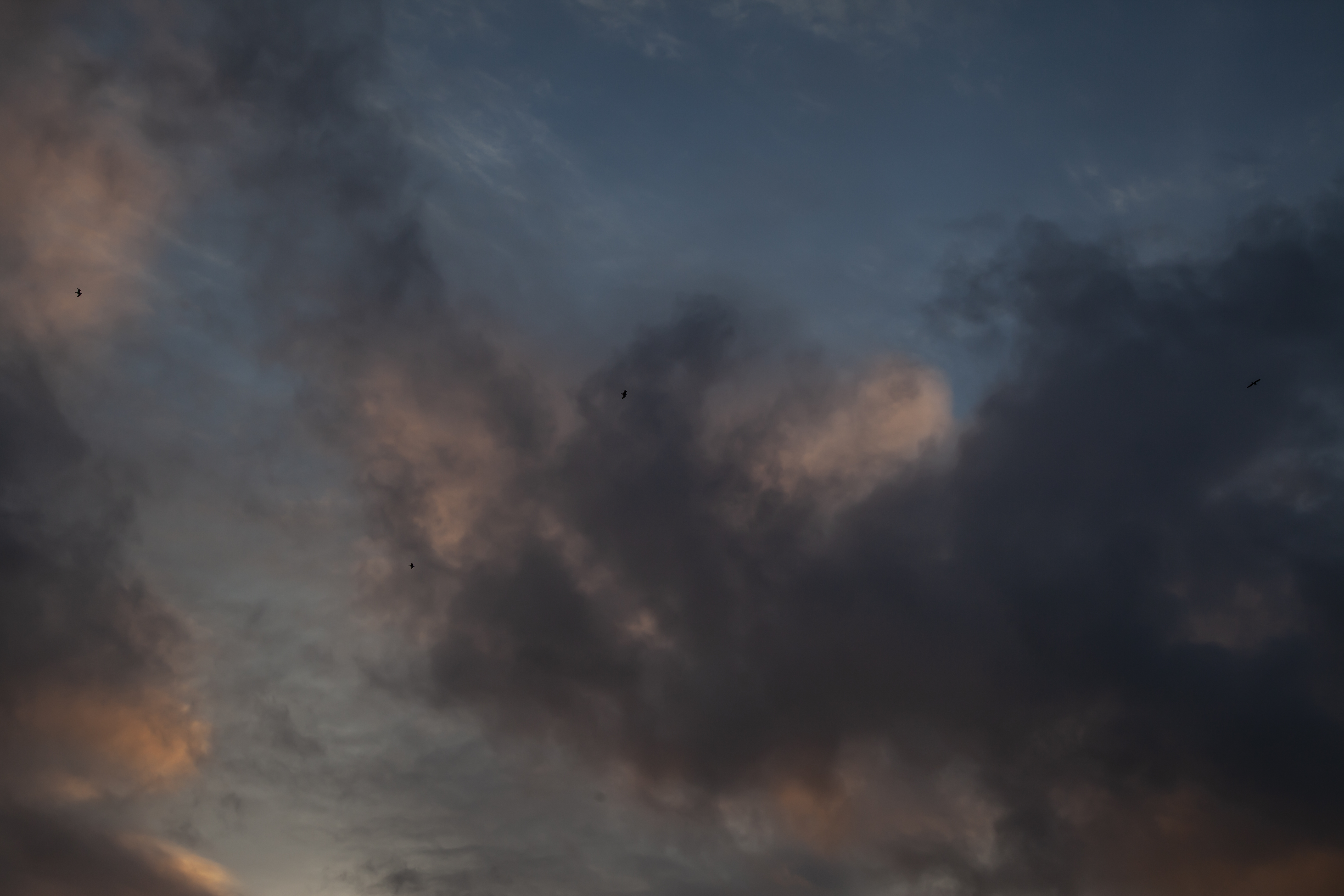 Ciel orageux avec des teintes sombres et orangées, traversé par des oiseaux.
