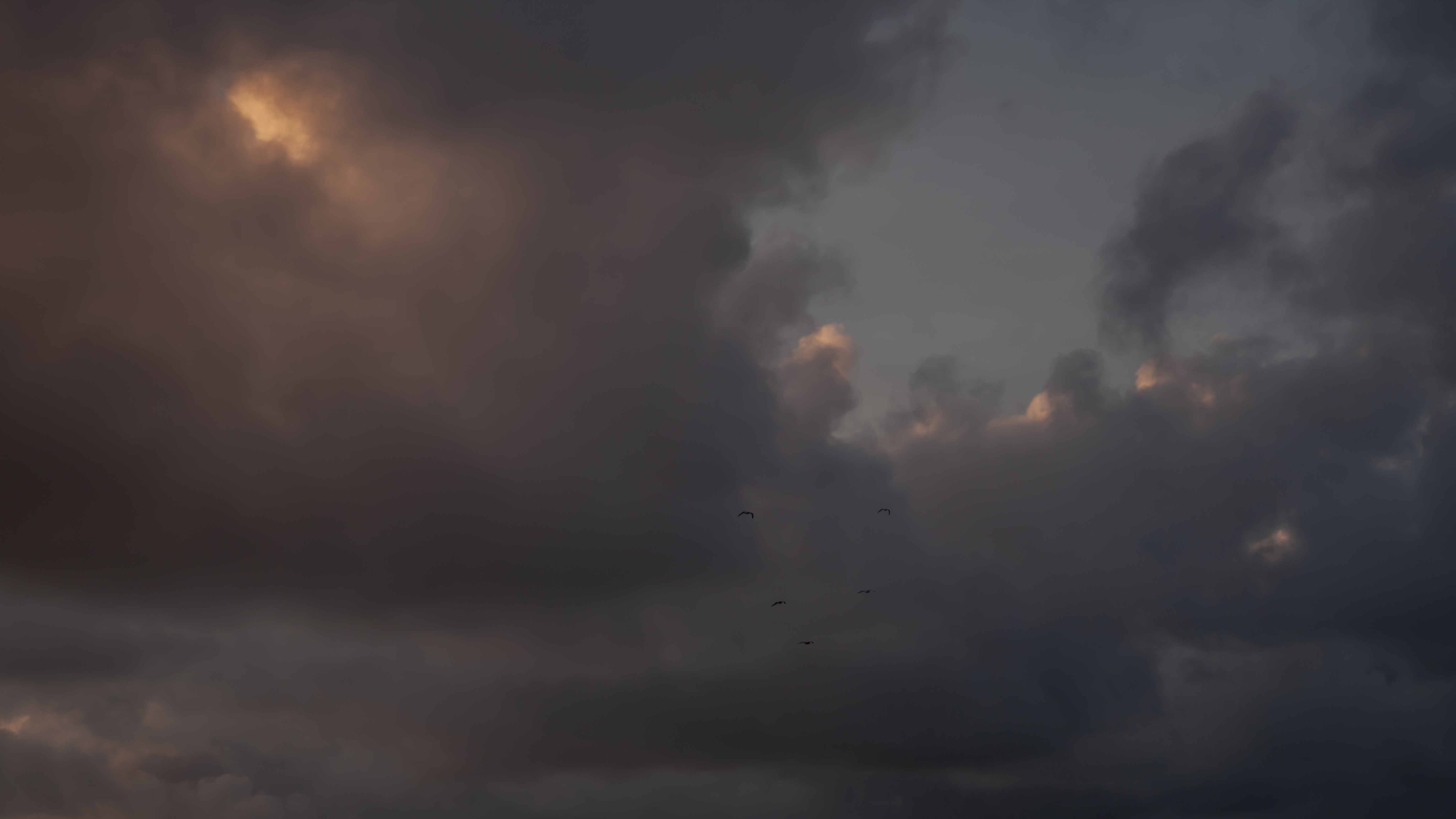 Ciel orageux avec des teintes sombres et orangées, traversé par des oiseaux.
