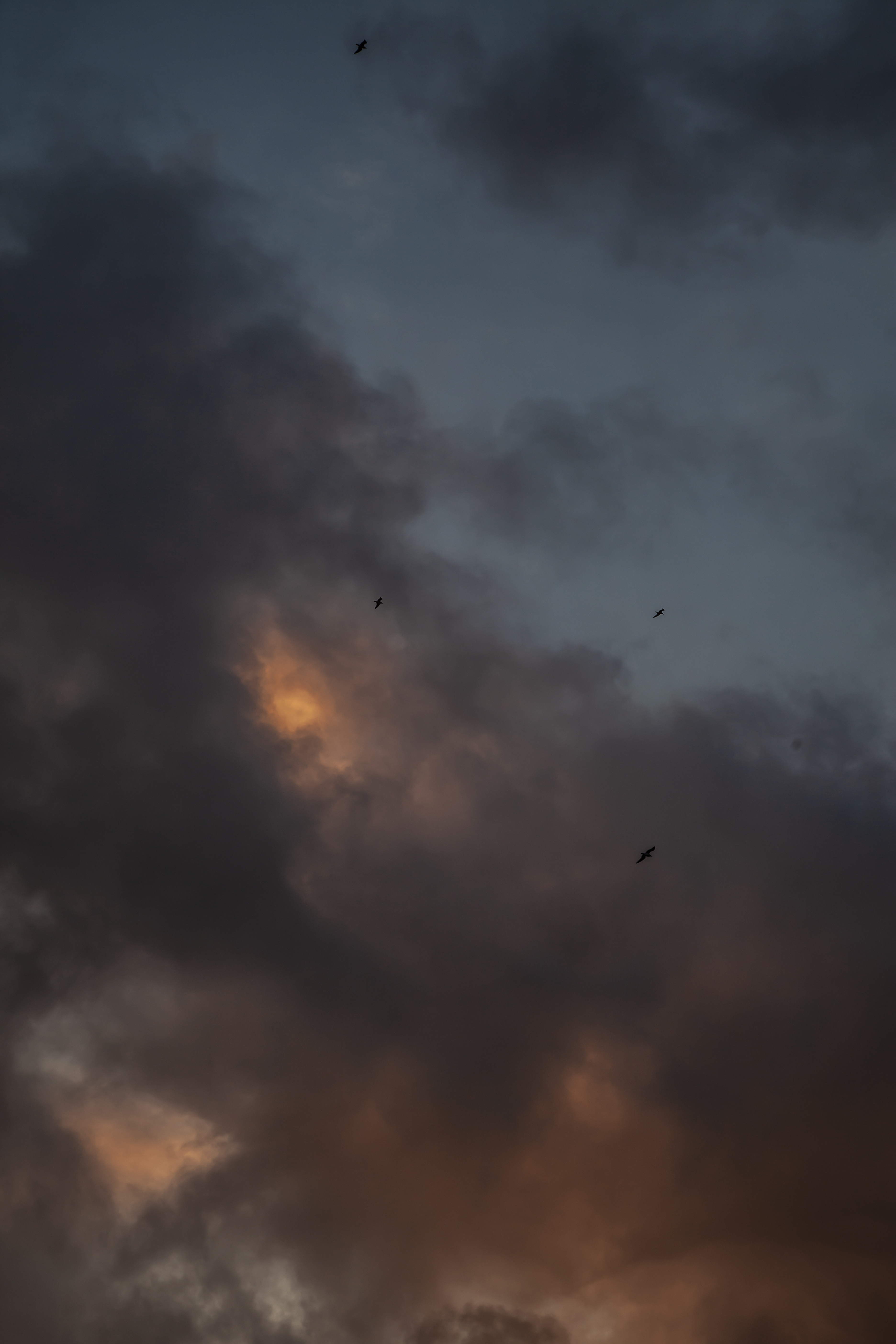 Ciel orageux avec des teintes sombres et orangées, traversé par des oiseaux.