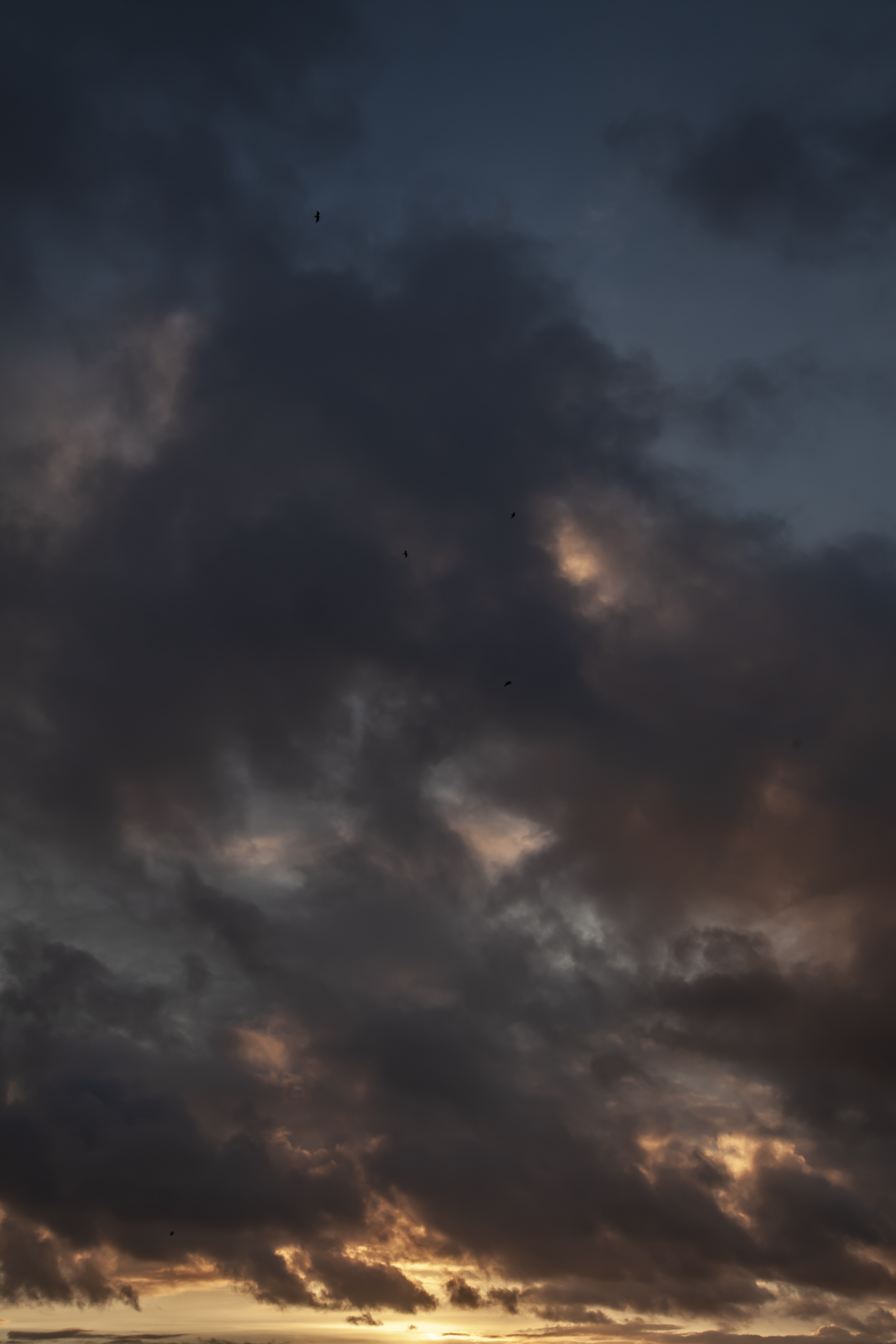 Ciel orageux avec des teintes sombres et orangées, traversé par des oiseaux.